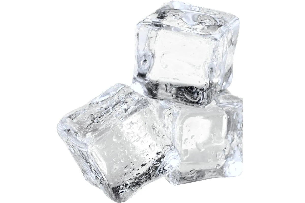 Ugostiteljski led ice cube