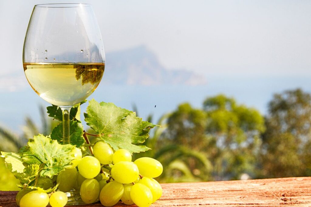 Hrvatske bijele autohtone vinske sorte